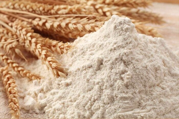 بحران جهانی مواد غذایی بعد از حمله روسیه به اوکراین 