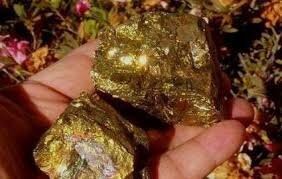 gold exploration