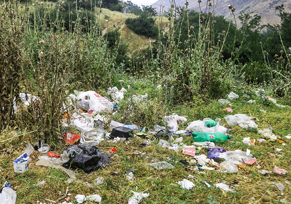 plastic bag in the environment