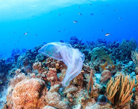 plastic waste in sea